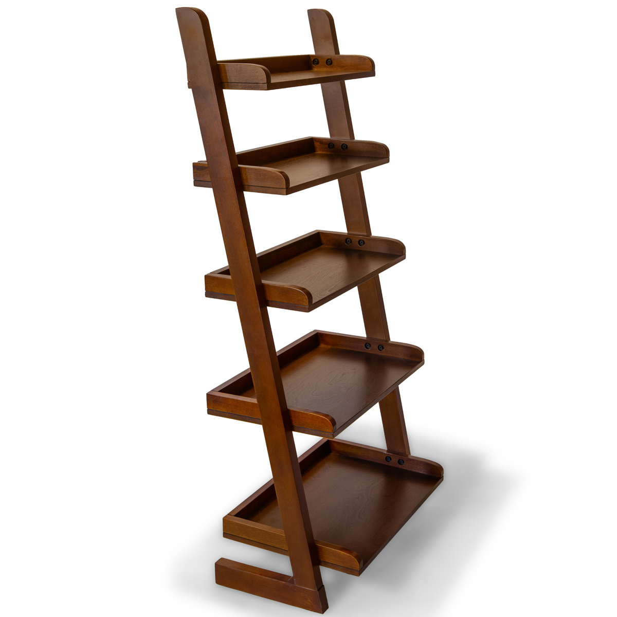 5 Tier Ladder Shelves