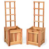 12in. planter box with trellis